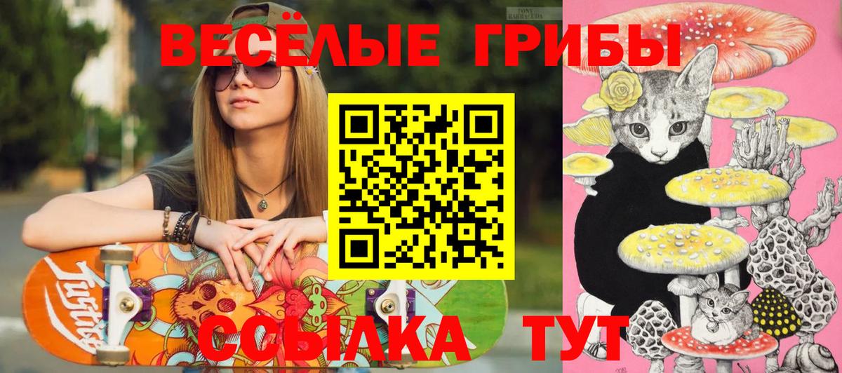Галлюциногенные грибы ЛСД  Галлюциногенные грибы прущие грибы  Ревда  Вход с VPN 